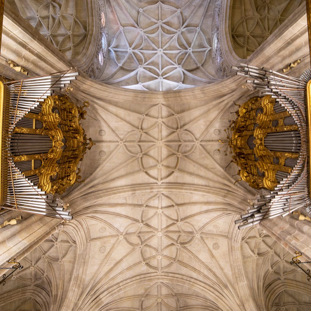 arquitectura-interior-catedral-de-almeria-(10)