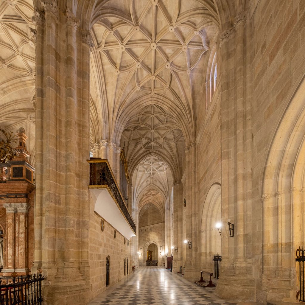 arquitectura-interior-catedral-de-almeria-(7)