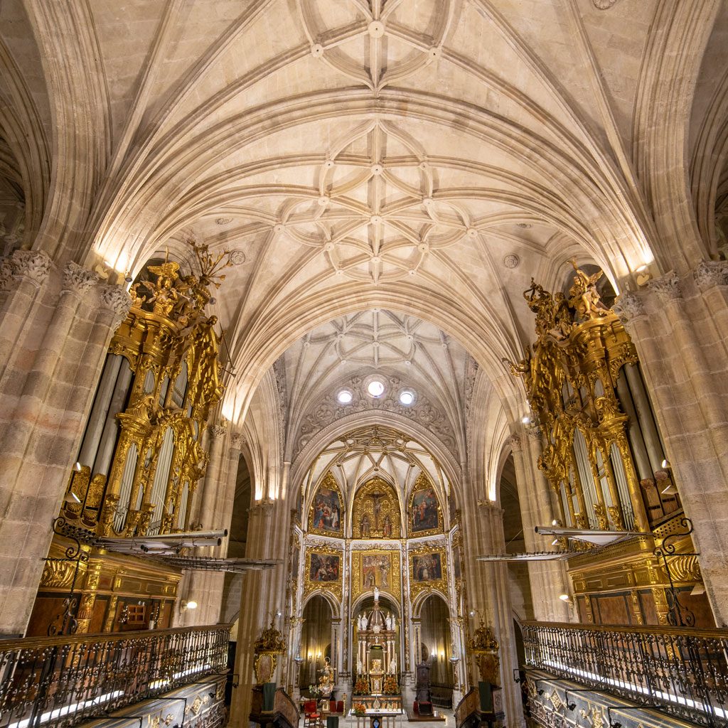 arquitectura-interior-catedral-de-almeria-(8)